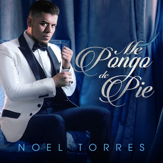 Cover artwork for Te Estoy Queriendo