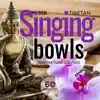 Stream & download Tibetan Singing Bowls and Nature Sounds