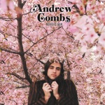 Andrew Combs - Too Stoned to Cry