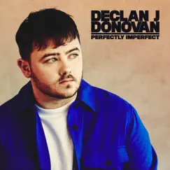 Perfectly Imperfect - Single by Declan J Donovan album reviews, ratings, credits