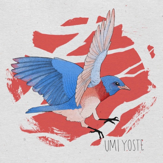 Cover artwork for Umi