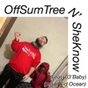 OffSumTreeN'SheKnow (feat. 03'Baby) - Single