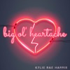 Big Ol' Heartache - Single