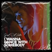 I Wanna Dance With Somebody (Who Loves Me) artwork