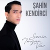 Senin İmzan Var - Single