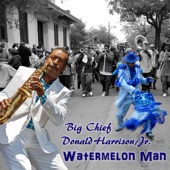 Watermelon Man (Radio Edit) artwork