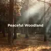 Peaceful Woodland album lyrics, reviews, download