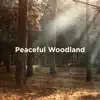 Stream & download Peaceful Woodland