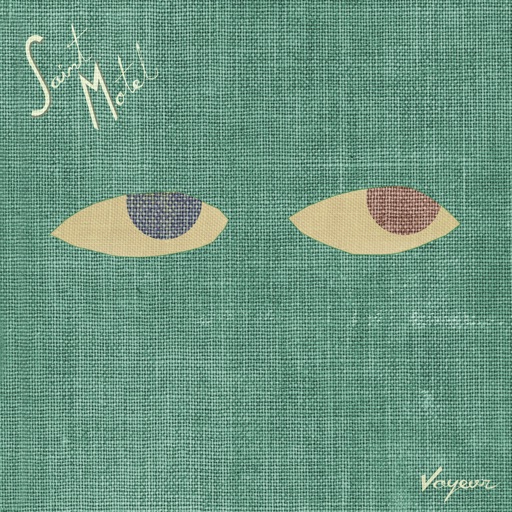 Album art for Saint Motel - Puzzle Pieces
