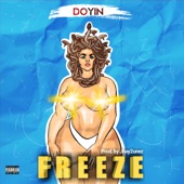 Freeze artwork