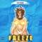 Freeze artwork