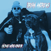 Bryan Andrews - Homewrecker  artwork