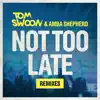 Not Too Late (Remixes) - EP album lyrics, reviews, download