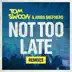 Not Too Late (Remixes) - EP album cover