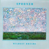 Spooner - Wildest Dreams