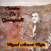 Miguel Aceves Mejia - Serenata Huasteca