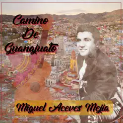 Camino de Guanajuato - Miguel Aceves Mejía