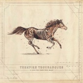 Turnpike Troubadours - The Hard Way