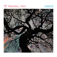 Tingvall Trio - Dance artwork