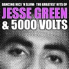 Dancing Nice 'n Slow: the Greatest Hits of Jesse Green & 5000 Volts