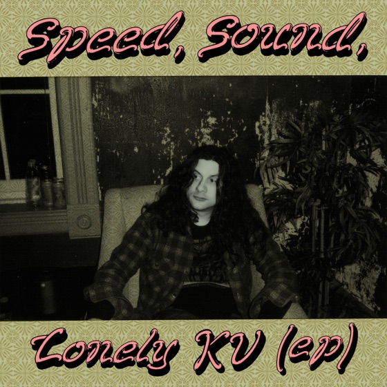 Cover artwork for Dandelions