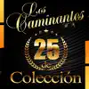 25 de Colección album lyrics, reviews, download