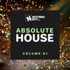 Nothing But... Absolute House, Vol. 01