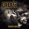 Days Go By - Single