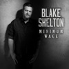 Blake Shelton - Minimum Wage  artwork