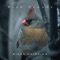 The Sunrise - Bird Sounds lyrics