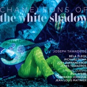 Chameleon of the White Shadow artwork
