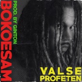 Valse Profeten - EP artwork