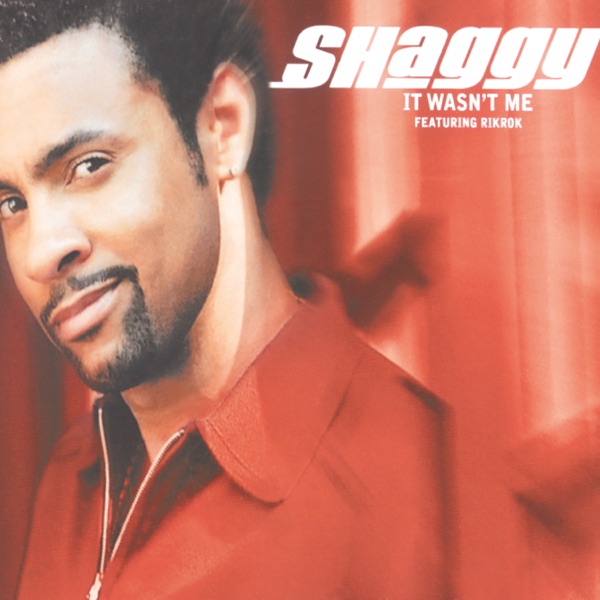 It Wasn't Me - Single - Shaggy