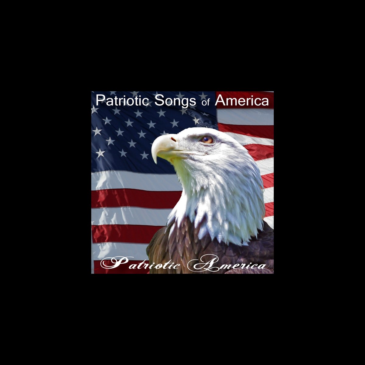 ‎Patriotic Songs of America by Patriotic America on Apple Music