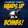 Hands up Bombs!, Vol. 14 (Compiled by Plusedriver)