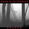 Schizofrenic Freddy - Neon Electronics lyrics