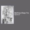 Flying Saucer - Matthew Shipp Trio lyrics