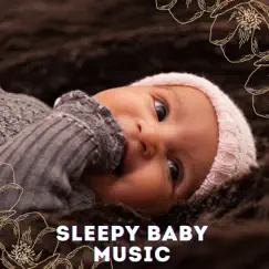 Sleepy Baby Music by Lullaby Babies, Kids Music & The Playtime Allstars album reviews, ratings, credits