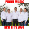 Pindu Music Best Hit's 2020 - Pindu