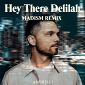 Hey There Delilah (Madism Remix) artwork