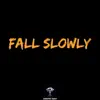 Fall Slowly - Single album lyrics, reviews, download