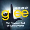Glee: The Music, the Rise and Fall of Sue Sylvester - EP album lyrics, reviews, download