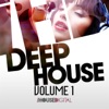 Deep House, Vol. 1