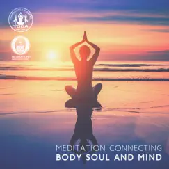 Meditation Connecting Body Soul and Mind by Meditation Mantras Guru & Namaste Healing Yoga album reviews, ratings, credits