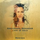 Land of Gold (Remixes) artwork