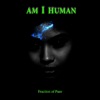 Am I Human artwork