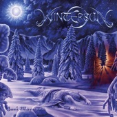 Wintersun - Death and the Healing