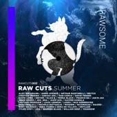 Raw Cuts Summer artwork