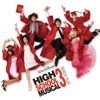 High School Musical 3: Senior Year artwork
