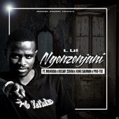 Ngenzenjani (feat. Mbhuda, Dj MainMAN, Deejay Zebra, King Saiman & Pro-Tee) artwork